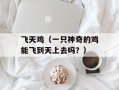 飞天鸡（一只神奇的鸡能飞到天上去吗？）