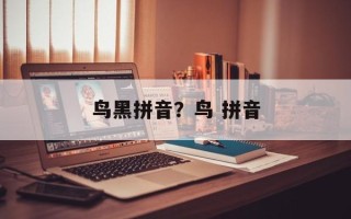 鸟黑拼音？鸟 拼音