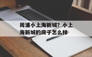 周浦小上海新城？小上海新城的房子怎么样