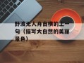 野渡无人舟自横的上一句（描写大自然的美丽景色）