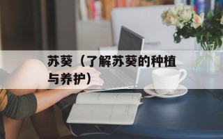 苏葵（了解苏葵的种植与养护）