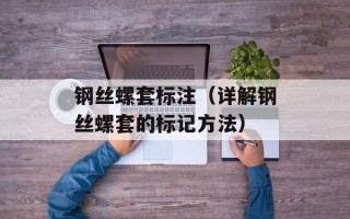 钢丝螺套标注（详解钢丝螺套的标记方法）