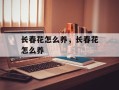 长春花怎么养，长春花怎么养