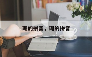 珊的拼音，瑚的拼音