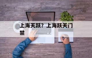 上海天跃？上海跃天门禁