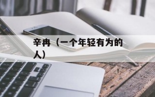 辛冉（一个年轻有为的人）