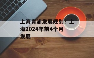 上海青浦发展规划？上海2024年前4个月发展