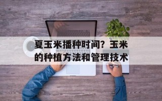 夏玉米播种时间？玉米的种植方法和管理技术