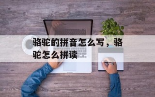 骆驼的拼音怎么写，骆驼怎么拼读