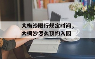 大梅沙限行规定时间，大梅沙怎么预约入园