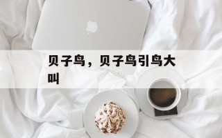 贝子鸟，贝子鸟引鸟大叫