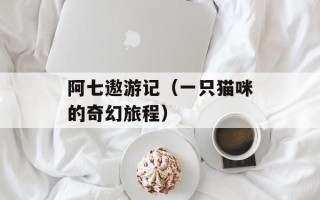 阿七遨游记（一只猫咪的奇幻旅程）