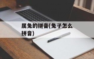 属兔的拼音(兔子怎么拼音)