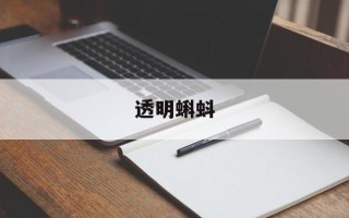 透明蝌蚪
