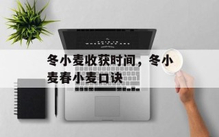 冬小麦收获时间，冬小麦春小麦口诀