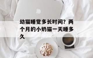 幼猫睡觉多长时间？两个月的小奶猫一天睡多久