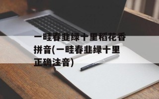 一畦春韭绿十里稻花香拼音(一畦春韭绿十里正确注音)