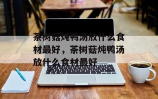 茶树菇炖鸭汤放什么食材最好，茶树菇炖鸭汤放什么食材最好