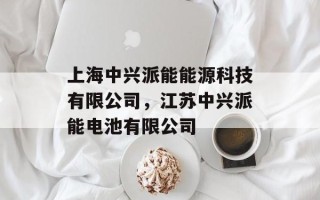 上海中兴派能能源科技有限公司，江苏中兴派能电池有限公司
