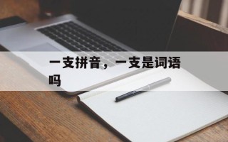 一支拼音，一支是词语吗