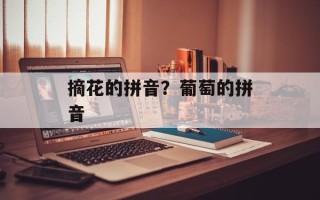 摘花的拼音？葡萄的拼音