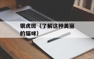 银虎斑（了解这种美丽的猫咪）