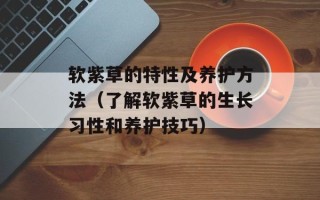软紫草的特性及养护方法（了解软紫草的生长习性和养护技巧）