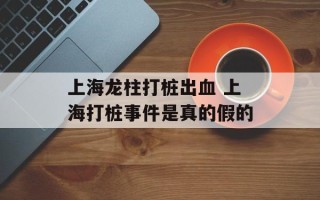 上海龙柱打桩出血 上海打桩事件是真的假的