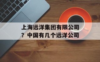 上海远洋集团有限公司？中国有几个远洋公司