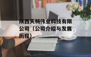 陕西天畅伟业科技有限公司（公司介绍与发展历程）