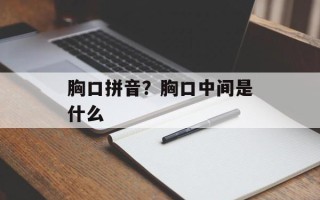 胸口拼音？胸口中间是什么