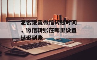 怎么设置微信转账时间，微信转账在哪里设置延迟到账