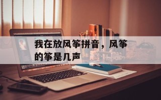 我在放风筝拼音，风筝的筝是几声