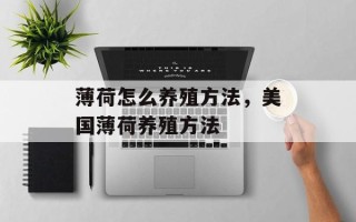 薄荷怎么养殖方法，美国薄荷养殖方法