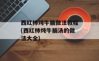 西红柿炖牛腩做法教程(西红柿炖牛腩汤的做法大全)
