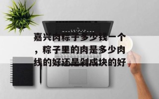 嘉兴肉粽子多少钱一个，粽子里的肉是多少肉线的好还是剁成块的好