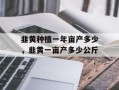 韭黄种植一年亩产多少，韭黄一亩产多少公斤