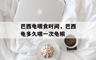 巴西龟喂食时间，巴西龟多久喂一次龟粮