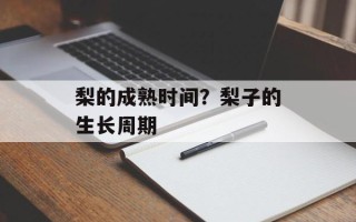 梨的成熟时间？梨子的生长周期