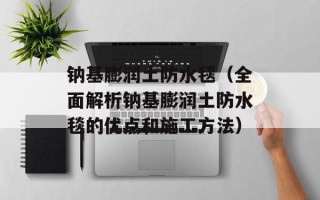 钠基膨润土防水毯（全面解析钠基膨润土防水毯的优点和施工方法）