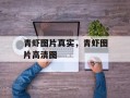 青虾图片真实，青虾图片高清图