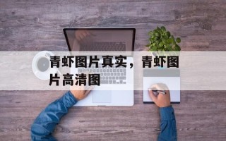 青虾图片真实，青虾图片高清图