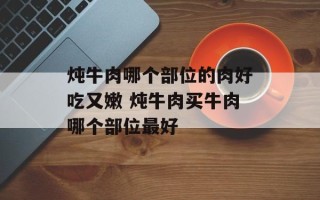 炖牛肉哪个部位的肉好吃又嫩 炖牛肉买牛肉哪个部位最好