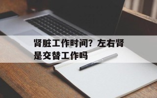 肾脏工作时间？左右肾是交替工作吗