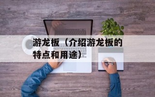 游龙板（介绍游龙板的特点和用途）