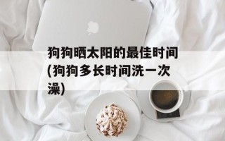 狗狗晒太阳的最佳时间(狗狗多长时间洗一次澡)