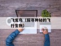 飞龙鸟（探寻神秘的飞行生物）