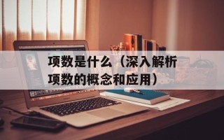 项数是什么（深入解析项数的概念和应用）