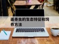 面条虫的生态特征和饲养方法