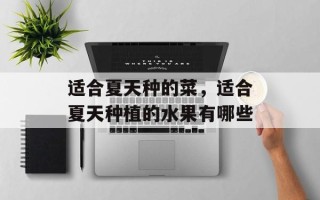 适合夏天种的菜，适合夏天种植的水果有哪些